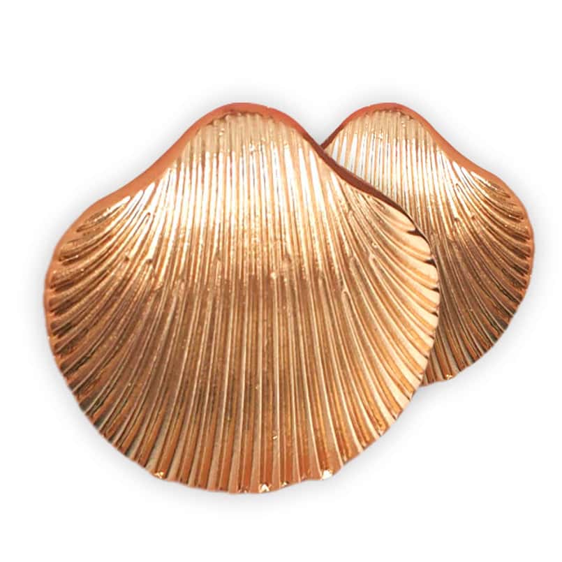 Muschel Ohrringe Große Goldene Muschel