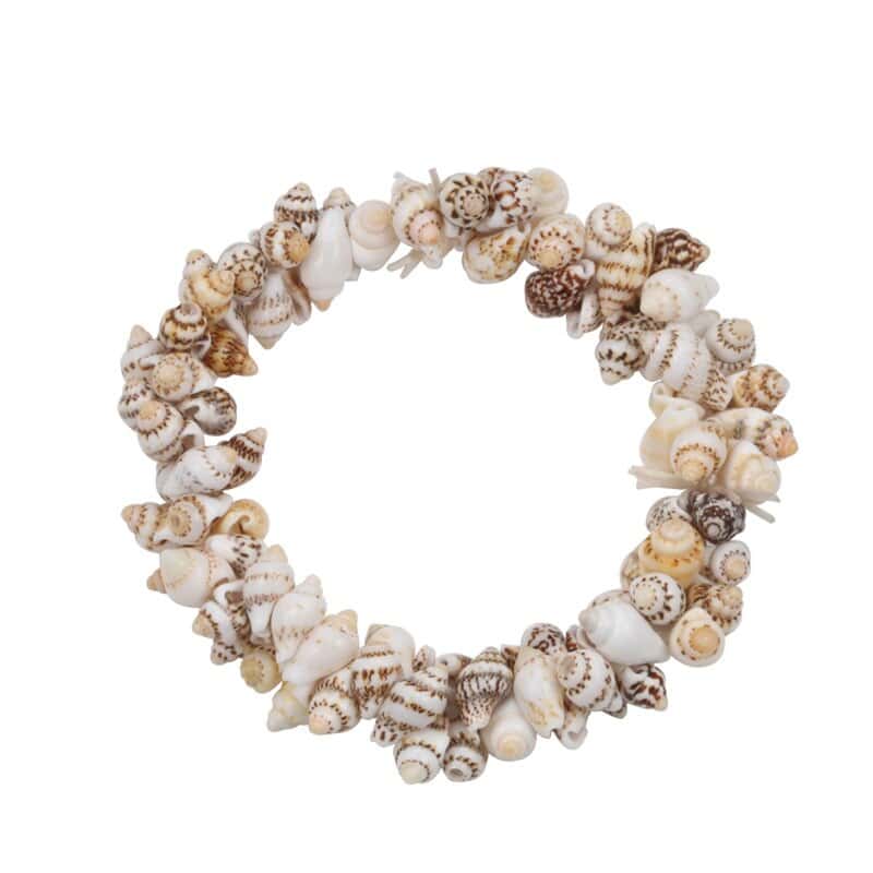 Muschelarmband Nassarius