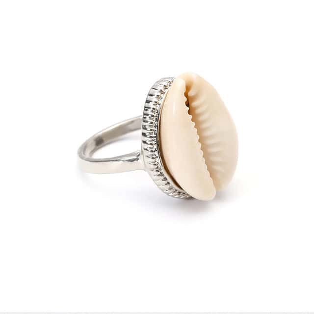 Muschelring Silberner Kauri