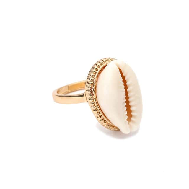 Muschelring Goldener Kauri